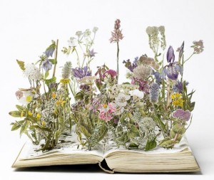 flowers Sue Blackwell 'Wild flowers'