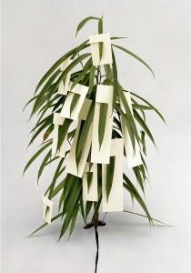 Ilona Plaum - papercut