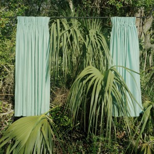 Rebecca Reeve