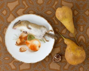 des-animaux-morts-en-nature-morte-par-kimberly-witham-1