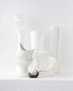 des-animaux-morts-en-nature-morte-par-kimberly-witham-6
